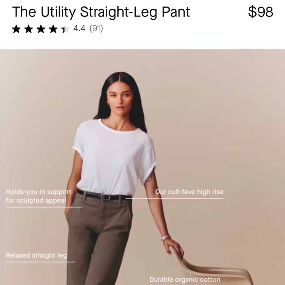 Like New Everlane Utility Straight Leg Pant